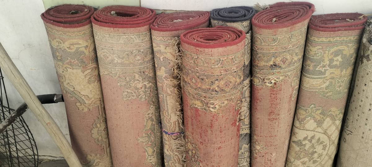زوالي للبيع أعلى سعر ابيع (***********)
