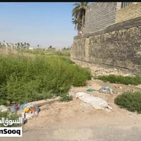 ارض زراعيه • سند ٢٥ • ١٦٠م