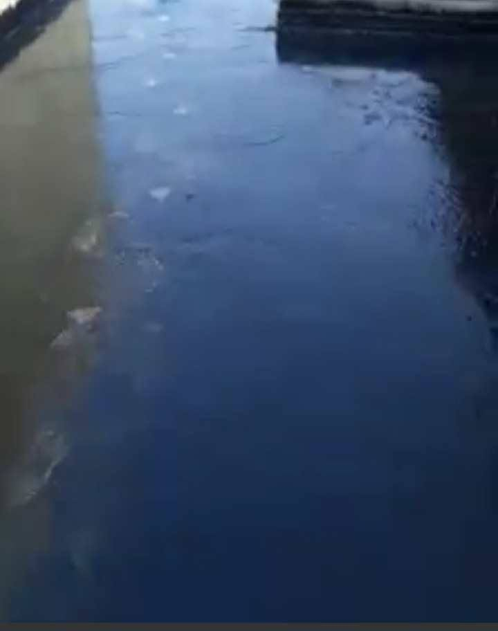 براميل زفت • درجة أولى