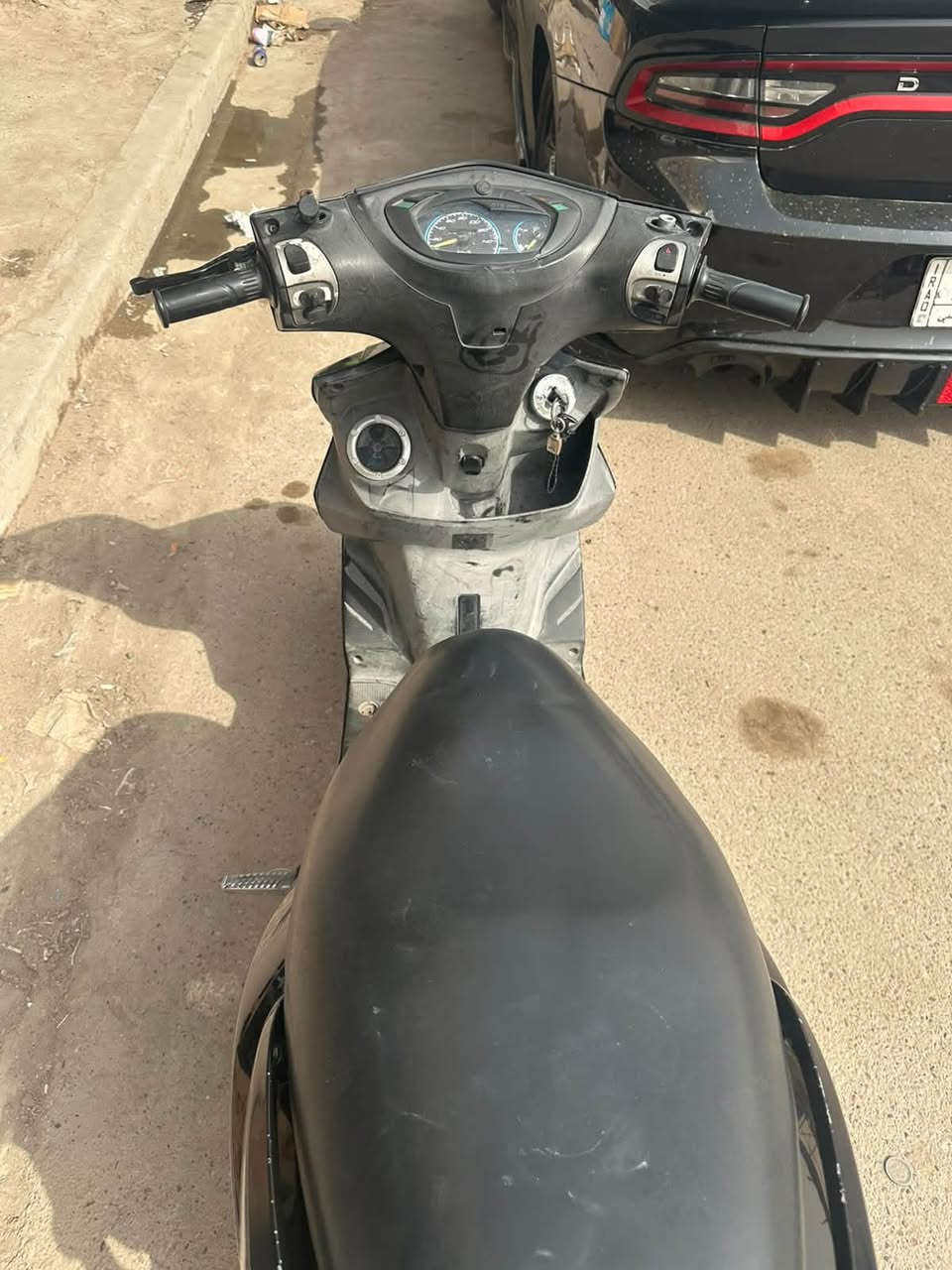 جيتي ار • كارتون • نضيف