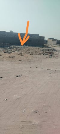 ارض زراعي • ٢٥٠م • شارع المعمل