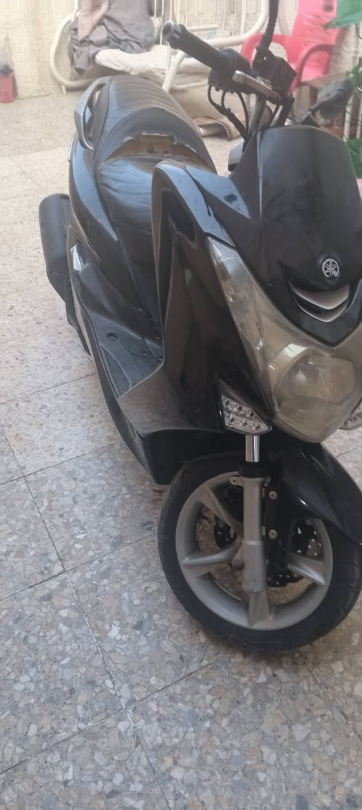 ماجسته اس • نظيف • ماشيه 65