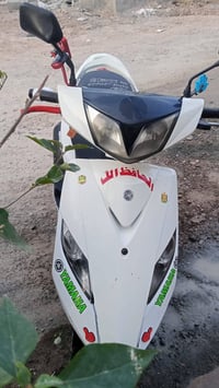 زذا • مراوس • عادي