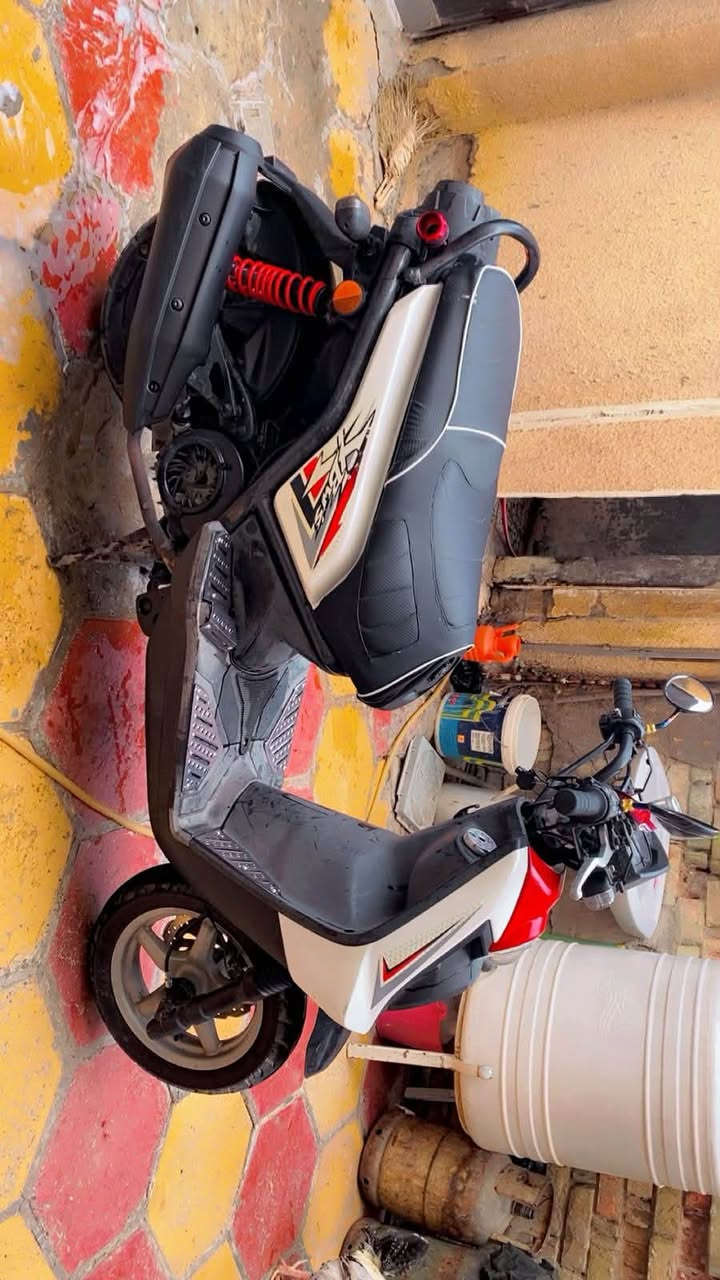 للبيع. دراجه سكنس جبلي كفاله عامه وكلشي بيه شغال اي نقص ما بيه تايرك وين تريد اطلع بيه. جديده واحلى من صور من شوفه حاط بيه مريات كاعيات شغلات للجماليه  السعر. 1250 بيه مجال.  جماعه المليون اطبك على صفحه.  مكاني بغداد حسينيه راشدايه. *********** 

ملاحظه سبب البيع محتاج وعوز يفشل
