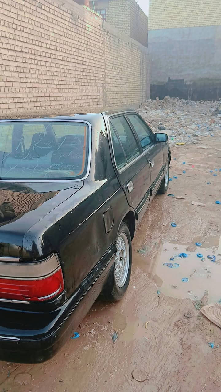 موديل ٩٥ • مصبوغه • رقم ديالى