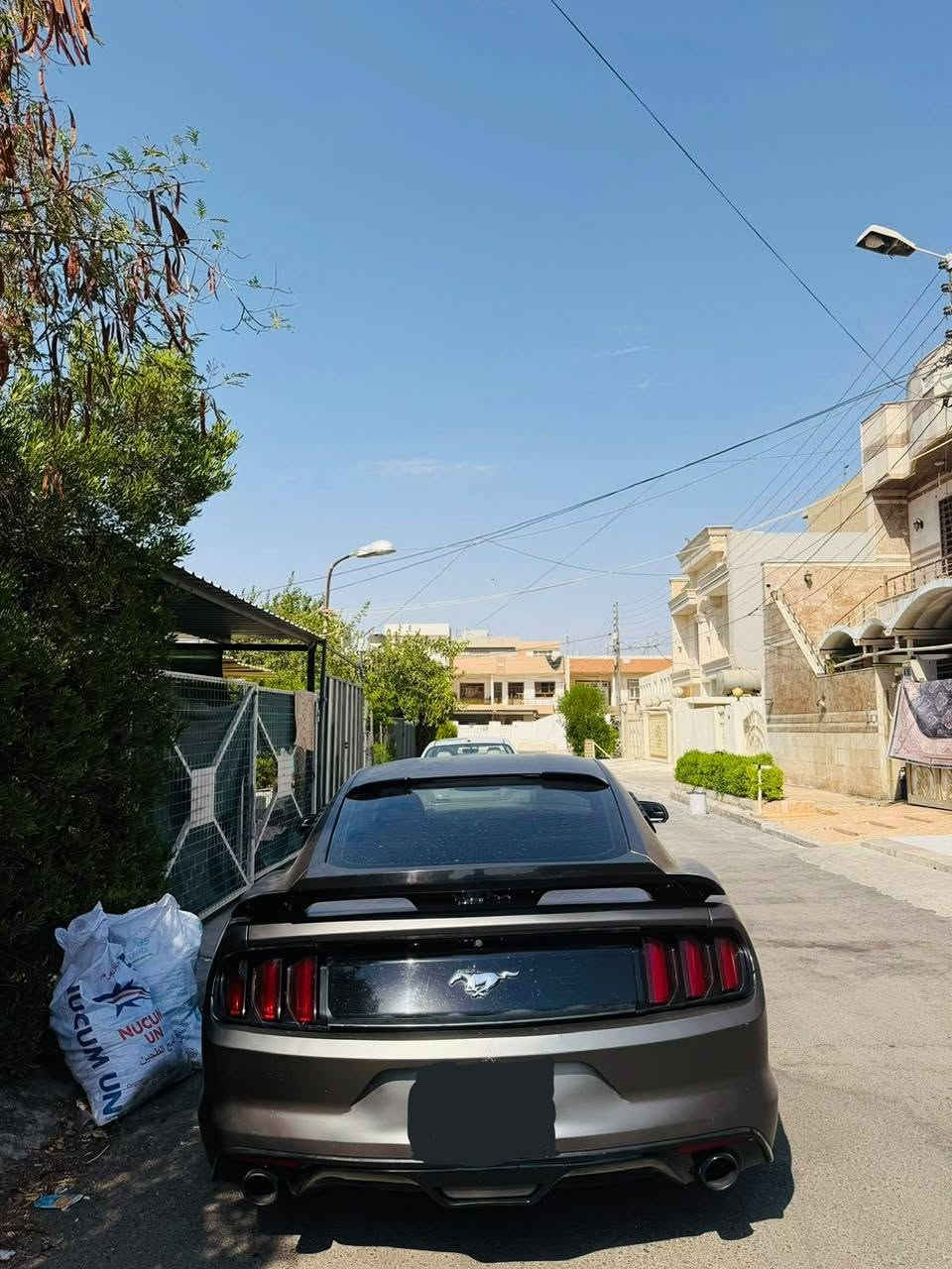 موستانغ • اكوبوست • ٢٠١٦