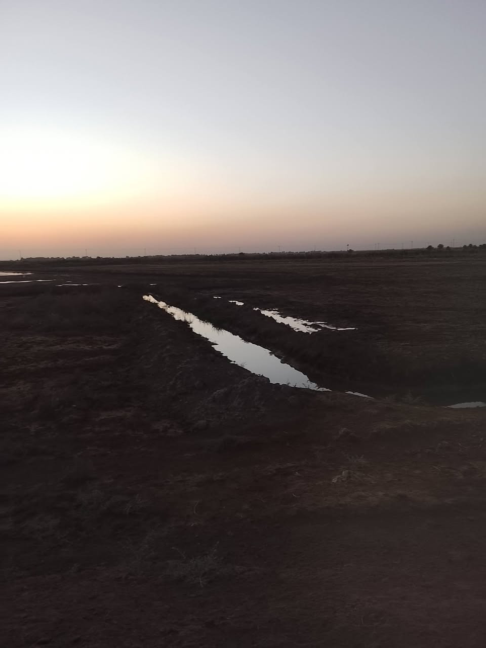 أرض زراعية للبيع مساحه 20دونم طابو زراعي تتوفر فيها جميع الخدمات مي سقي كهرباء وتبليط تبعد عن الشط الديوانية 800متر نحاله مستقله للقطعه مكان الارض السنيه  للاتصال أو الاستفسار ***********
