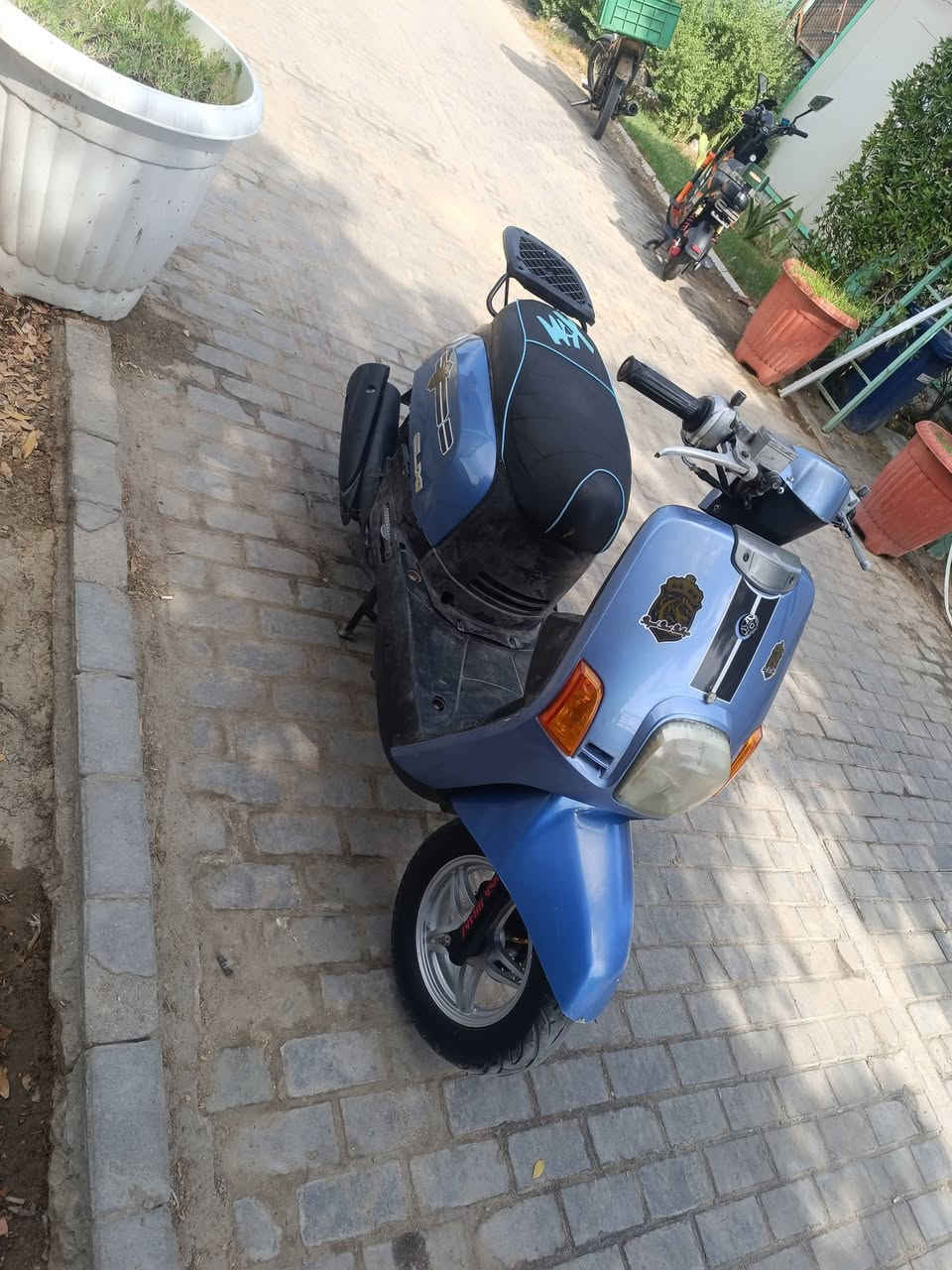 بصره بوليسي سعر 600(***********
