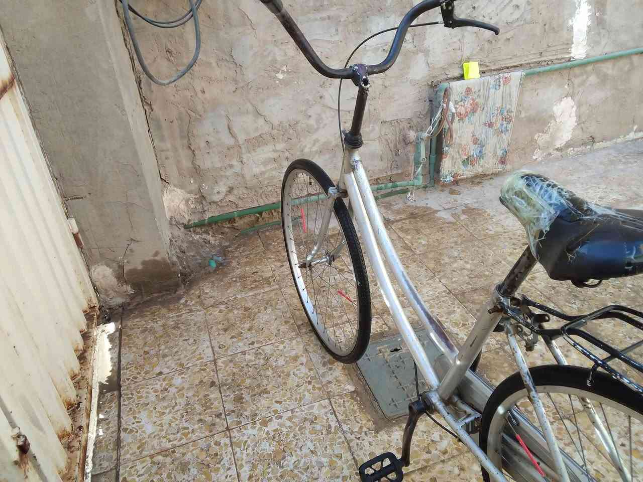 بايسكل بطه ياباني حجم 26 تايرات جديده يحتاجه بس سرج فقط

سعر 55 وبي مجال للشرايه

الرقم ***********4 فقط واتساب
