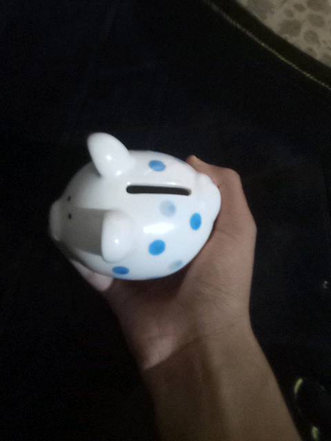 حصاله السعر 10000