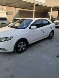 سيراتو • ٢٠١١ • أربيل دولي