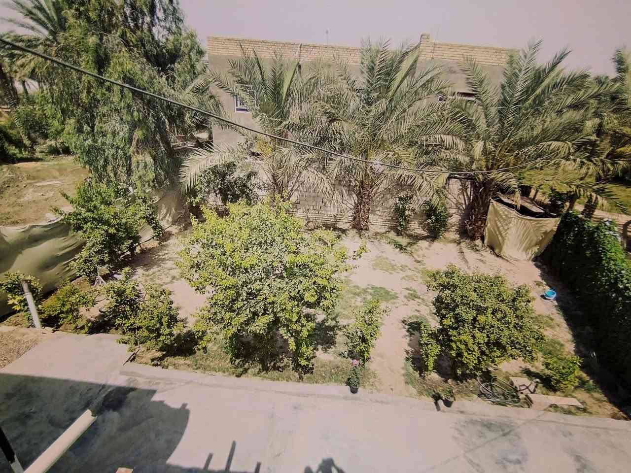 دار للبيع 🫱
مساحه البيت ٥٠٠م
جنس الارض زراعي بناء بلوك درجه أوله 
يتكون البيت من ٢ غرف نوم 
صاله واستقبال ومطبخ 
العنوان بابل قضاء المحاويل البدع قرب حي الشهداء سعر ٦٥ قابل للتفاوض ***********
