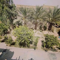 بابل المحاويل • ٥٠٠م • ارض زراعي