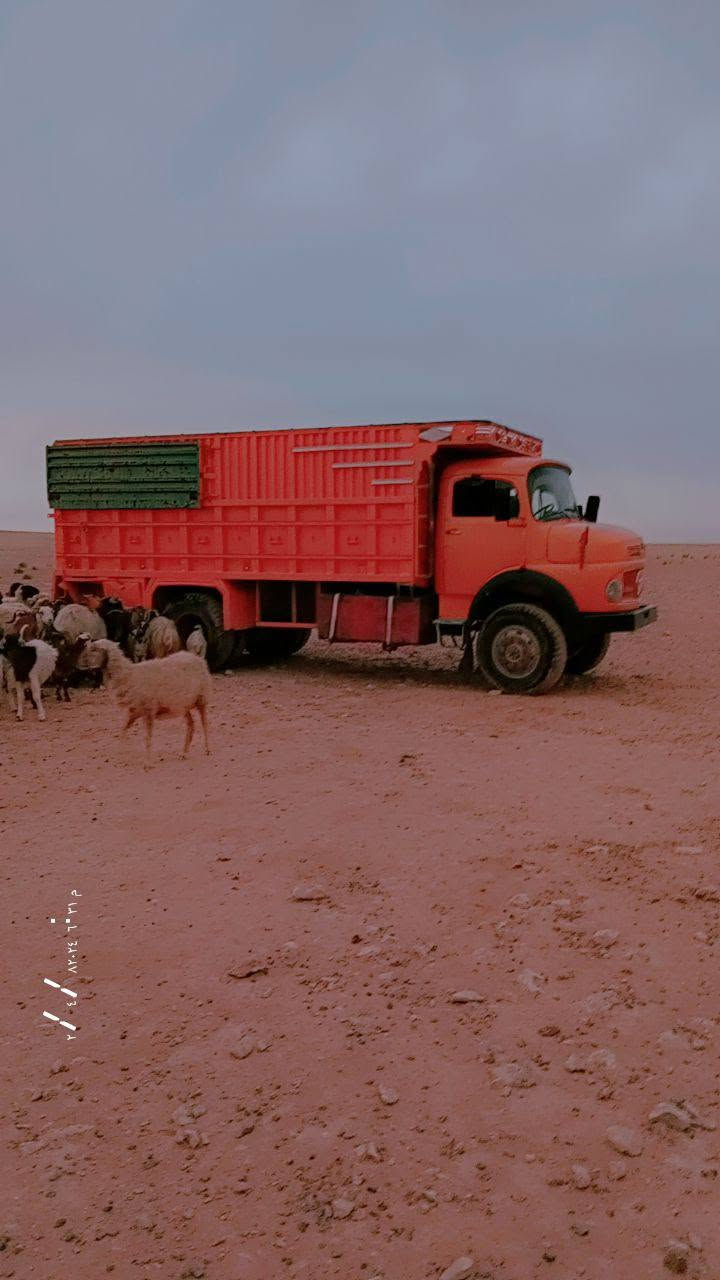 عاد نشر بل وعود لكاذبه سلام عليكم ابو ردين لبيع 6 طن مديل 1983 محرك مكفول سوبر صفر جاج.  كير  17   مكفول.     كسن شرط   حداديه بلاديه شاصي مدبول وما مكفول ولباقي كلا شرط رقم صلاح الدين منافيس مامتعهد  بل مداور ***********     *********** رقم راعيها  رميح مناع

نص مكتوب في الصور:
- ٢٠٢٤/١١/٢٢ ١٠:٣٤ ص