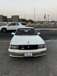 كراون بطه • ١٩٩٥ • بصرة