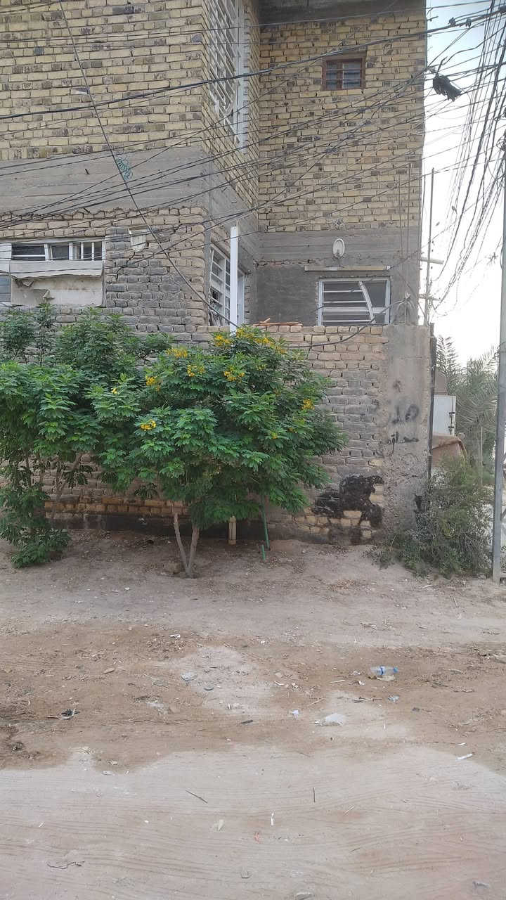 دار ١٠٠م • ٣ غرف • حي النداء