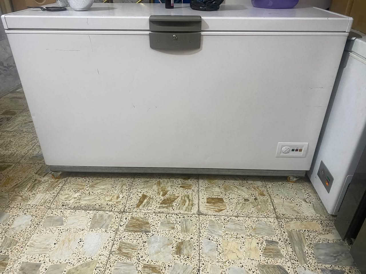 مجمدات • للبيع • بغداد