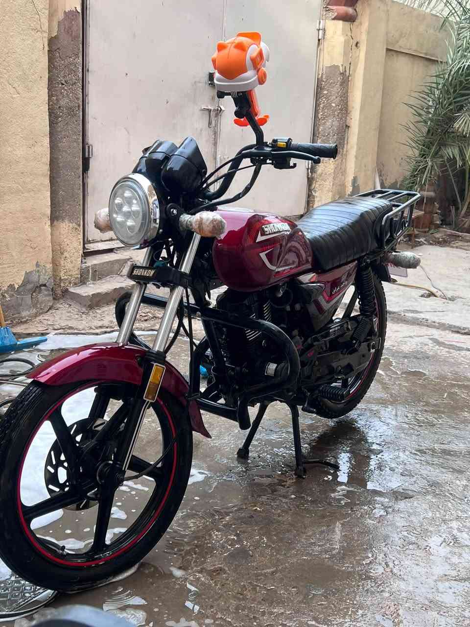 شاينك • ٢٠٢٦ • كفاله
