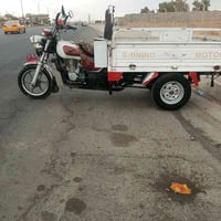 ستوته • موديل ١٩ • اوراق كامله