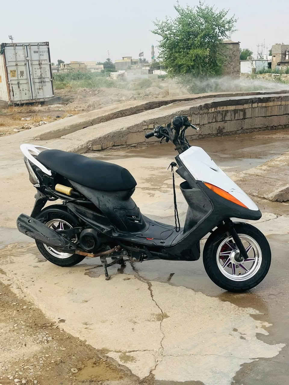 ماكس • بلادي • معدل