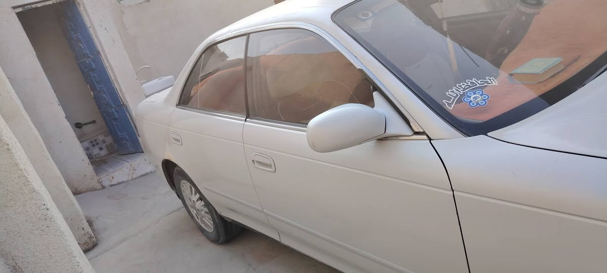 مارك نفخ • ١٩٩٥ • الزبير