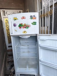 كونكورد • حجم ١٨ • شغالة