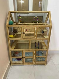 بلاش • عمارة • ميسان
