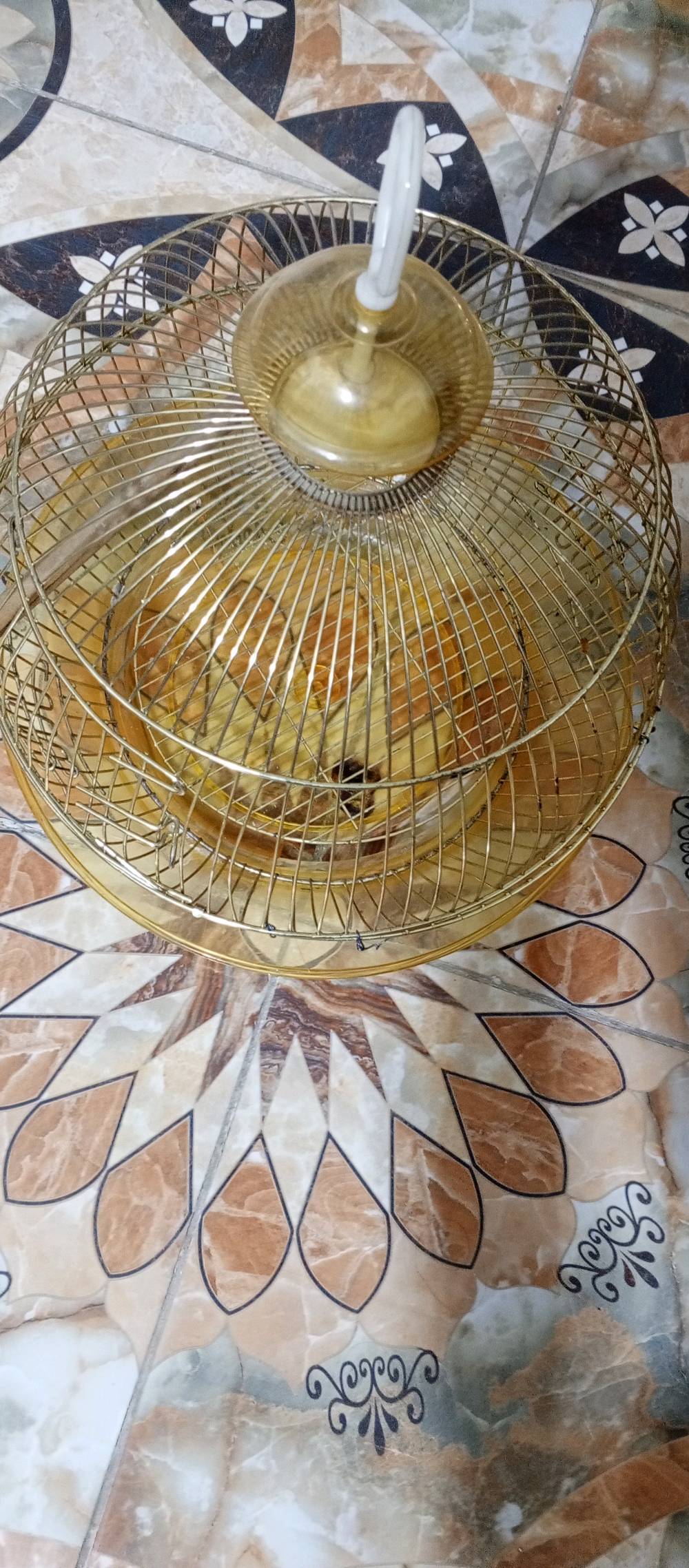 للبيع • استفسار خاص