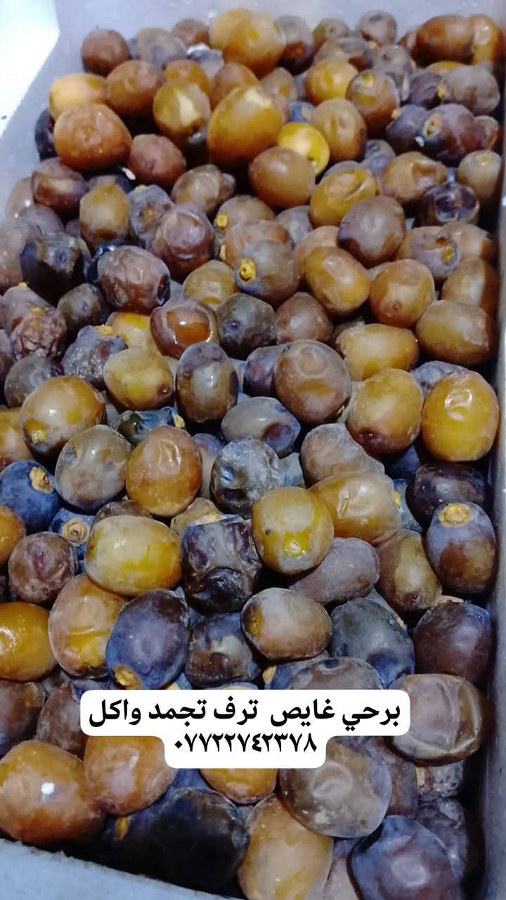 برحي يابس • عسل سدر أصلي • البصره ابو صخير