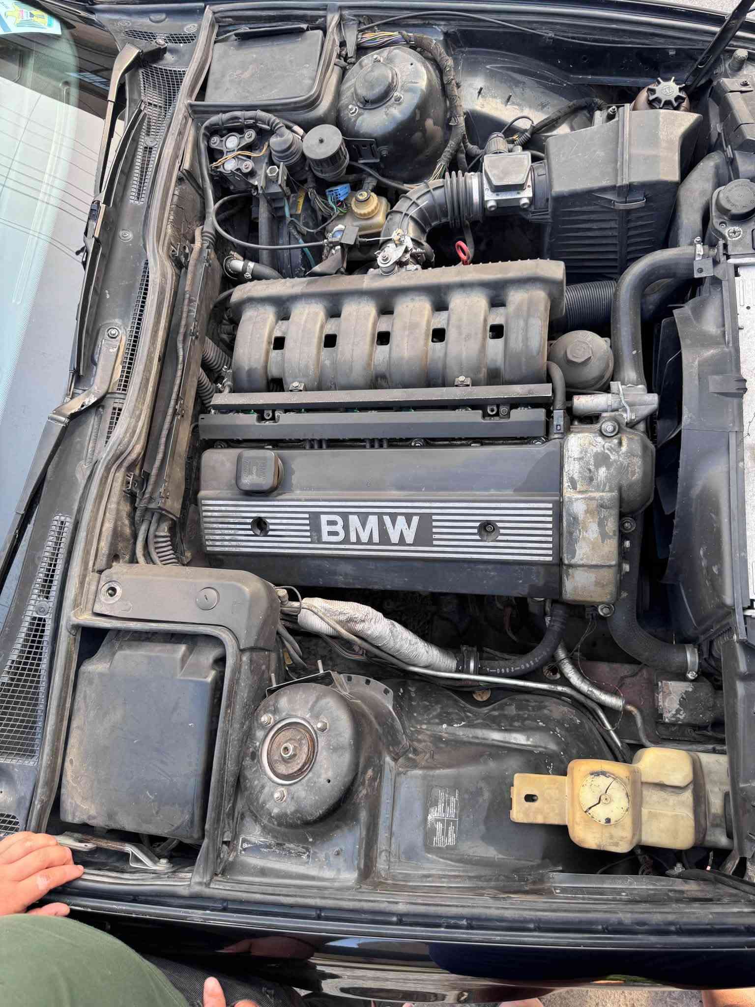 BMW
للبيع

فول مواصفات بس كير عادي

 عليها مكينه 28 نشاط فول

صبغ عام جماليا بدون ضربه

رقم نينوى جديد شرط الوكاله الوتحويل 

مكينه وكير شرط 

تبريد وتدفه

نضافه كدام العين 

سعر 62 وبيها مجال بسيط 

للاستفسار 

***********

