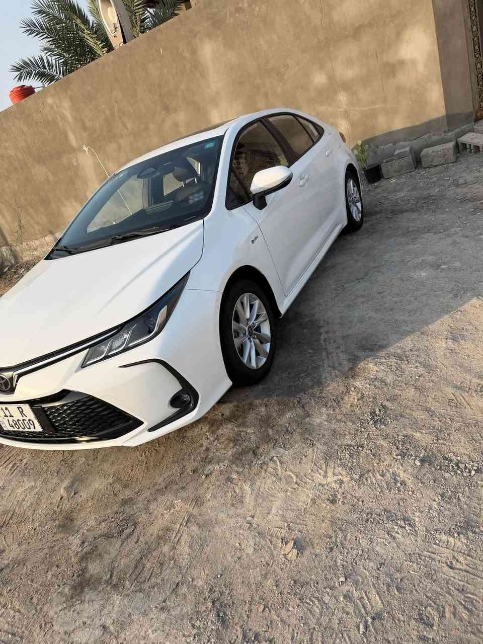 كورلا • ٢٠٢٥ • بغداد