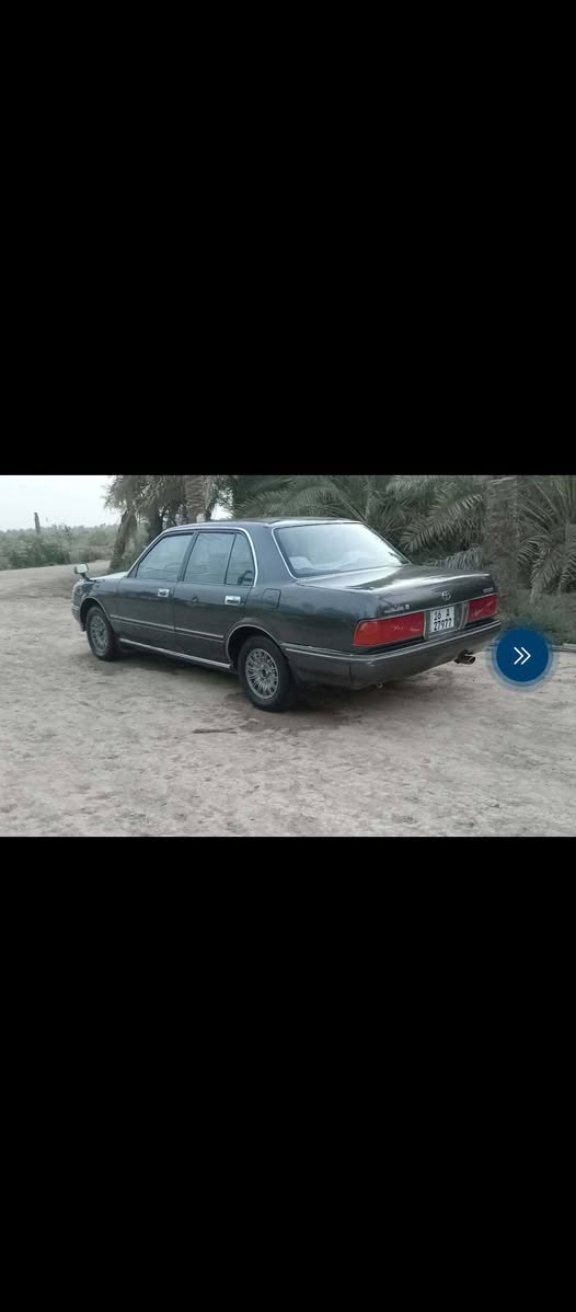 ارنب بسمي جاهزه مكينه وكير وحداديه مكفوله من ظربه 
رقم نكليزي تحويل ثاني يوم ملاحظه مكلف بلنشر تصال على رقم*********** مكان محافظة ذي قار قضاء سوق الشيوخ السعر 55وبيه مجال

