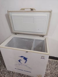مجمده • نضيفه • شغاله