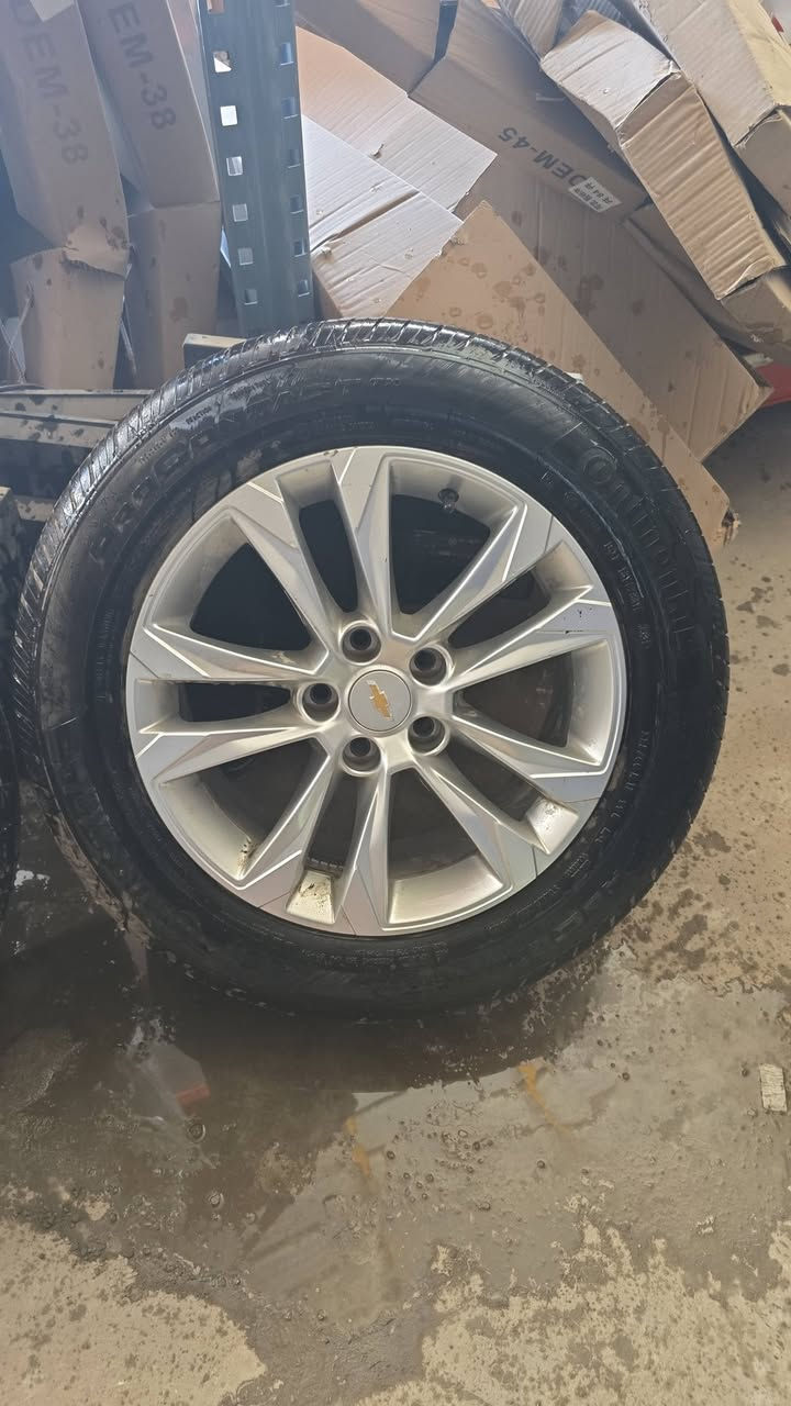 🚗🔥 وصلت الوجبة الجديدة من ويل كب السيارات الأمريكية!

يسر محلات المبارك لتجارة قطع غيار السيارات الأمريكية أن تعلن عن وصول ويل كب (Wheel Cap) للسيارات الأمريكية، وبموديلات متعددة:

🔹 شفروليه كوينكس 2018 – 2024
🔹 جي إم سي تيرين 2018 – 2024
🔹 جي إم سي أكاديا 2020 – 2023
🔹 شفروليه ترافرز 2018 – 2023
🔹 شفروليه تراكس 2024 – 2026
🔹 شفروليه ترايل بلايزر 2021 – 2026
🔹 شفروليه بلايزر 2019 – 2026

✨ ألوان وتصاميم مختلفة
📦 كميات محدودة — سارع بالحجز

📞 للحجز والاستفسار:
*********** – ***********

📍 فروعنا:
البصرة – التحسينية – محلات نادي الجنوب
البصرة – شط العرب – شارع المهندس

🇺🇸 محلات المبارك لتجارة قطع غيار السيارات الأمريكية
