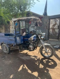 ستوتة جمرة • فحل • ٢٠١٩