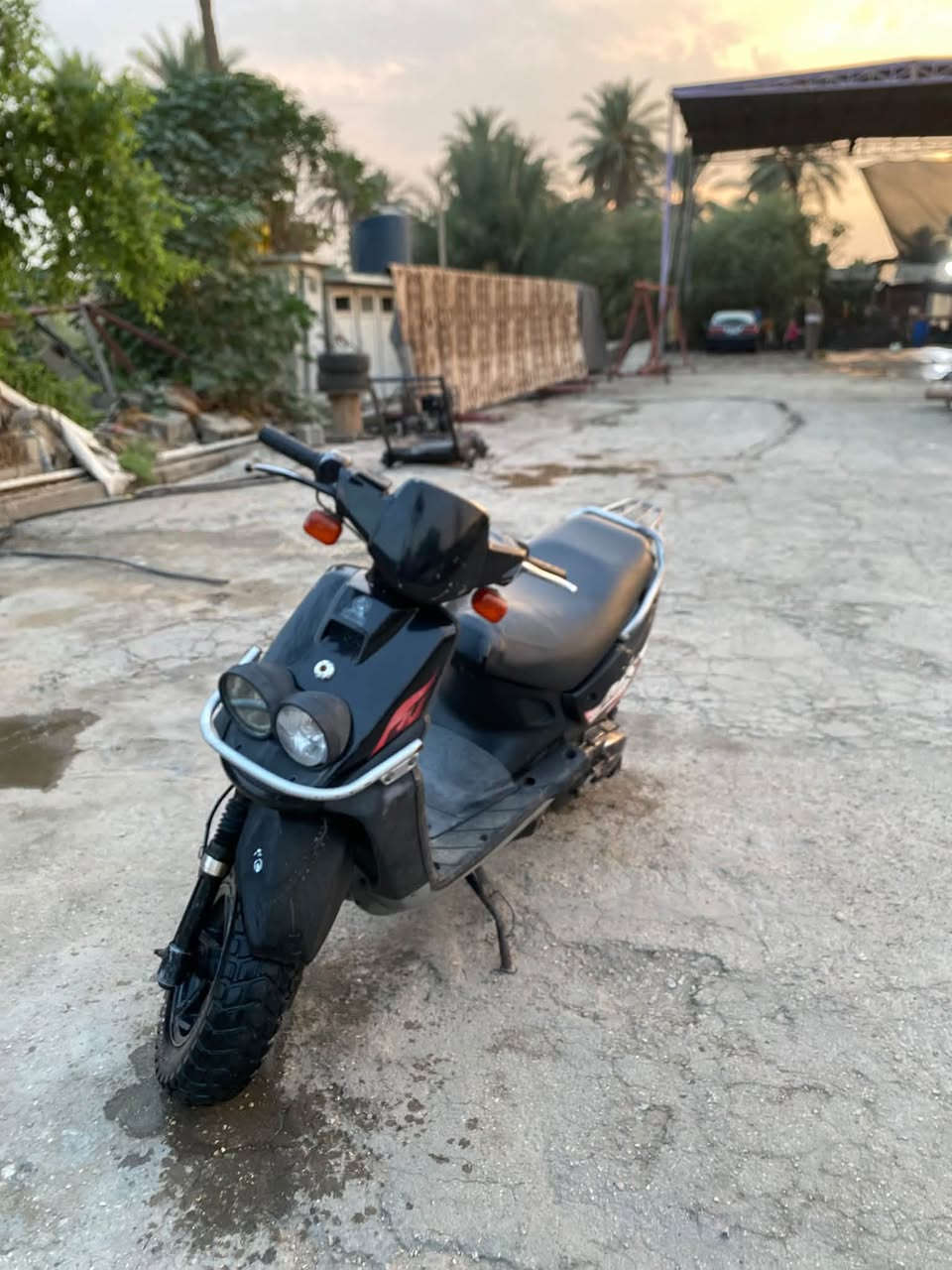 اكزز جبلي • ياباني • باتري ناقص