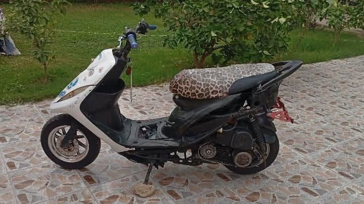 ماكس عدلة • نكرة • جديدة الشط