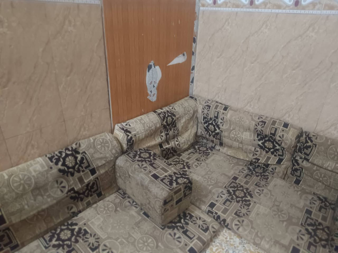 سلام عليكم جلسه البيع ٧ دواشك سعر 75وبيه مجال قليل ***********
