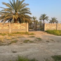 الطيفية بغداد • دونم ونصف • طابو ملك صرف