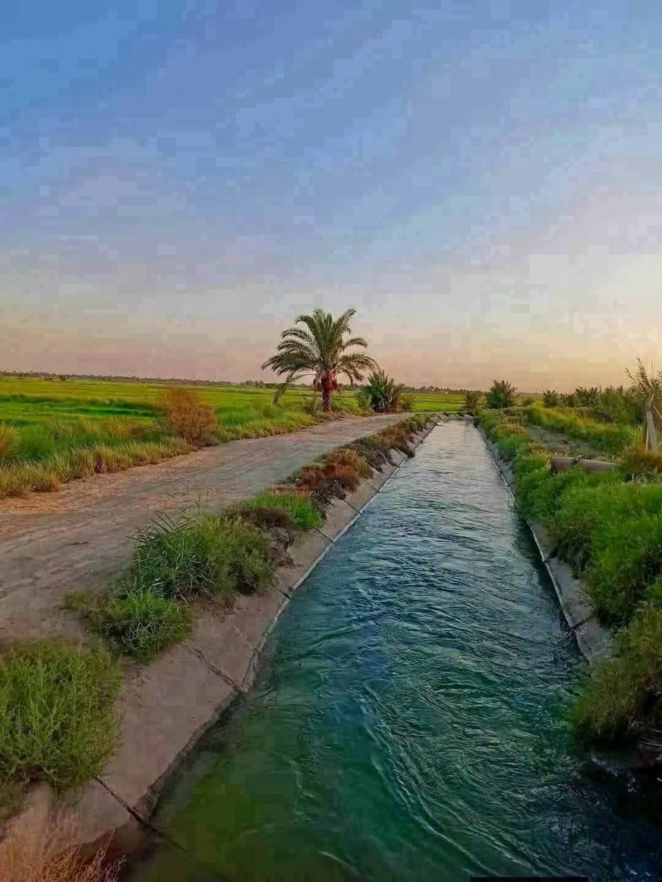 السلام عليكم عرض اليوم 3دونم ع تبليط مباشر جميع الخدمات متوفر طابو زراعي سند٢٥
- 💧 ماء أسالة
- 💡 كهرباء سعر دونم 40وبي مجال 
- 🛣️ تبليط مباشر
- 📄 سند ع طابو الكاضميه 
- 🌾🏠 جاهزة للزراعة أو البناء

💰 _ثاني يوم فتح بيان 

🏞️ _الموقع_:الوجهة 50 والنزل 50 
- بغداد - التاجي - ذراع دجلة - منطقة الشيخ عامر 

- 🚶‍♂️ تبعد عن المدارس والسكن  
- 💯 موقع كلش حلو وراقي

📝 *شرط*:
- متدفع فلس اذا مافتحلك بيان باسمك وبل طابو 😊
- نصيحة دين والله يا اخوني كلش راقية 💯

📞 _للاستفسار***********
