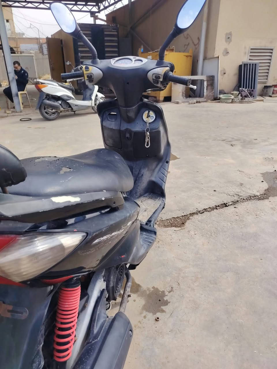 سكنس فحل • ياباني • ١١٠