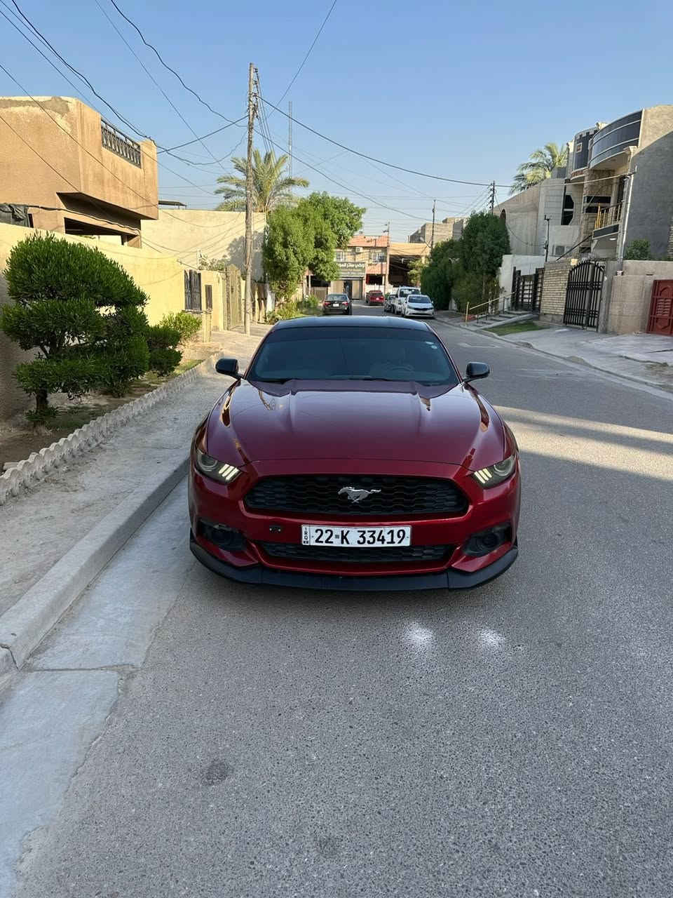 سعر مناسب 106 وبيه مجال
موستنك 2016 ايكو بوست 
فول برميوم بيه مواصفات خاصه جايه من الشركه 
تخم تاير جديد 
3 قطع صبغ بدون ضربه ودواخل 
رقم اربيل تحويل بنفس الساعه 
صدر جديد. 
سستم دمام 
مكاني بغداد الدوره وهاذ رقمي بي واتساب ***********
فقط واتساب متواجد
