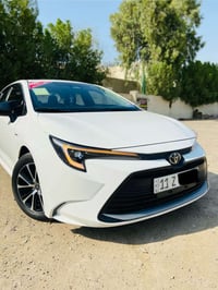 كورلا ليفين • هايبرد • بغداد
