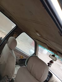 فيست • ٢٠٠٦ • بودي دريز
