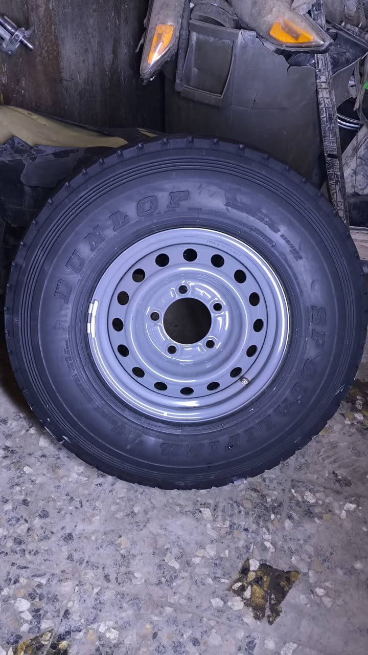 ويل وتاير • ٢٠٢٤ • اصليات