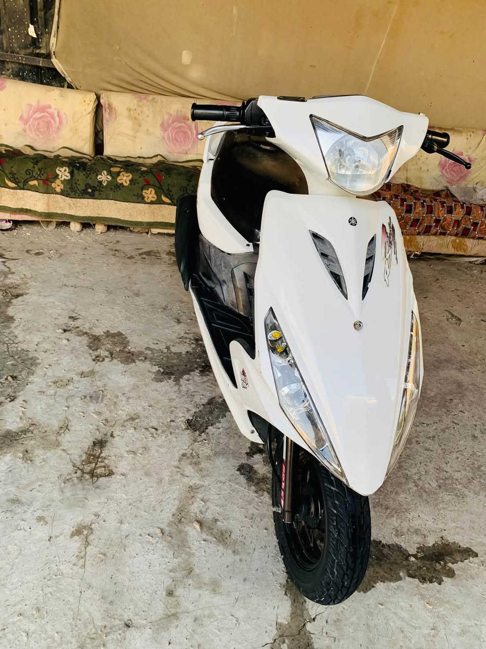 مامفتوحه • كهربيات • اوراق