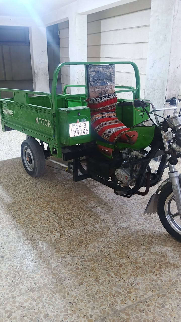 ستوته • بصرة حيانية • سنوية