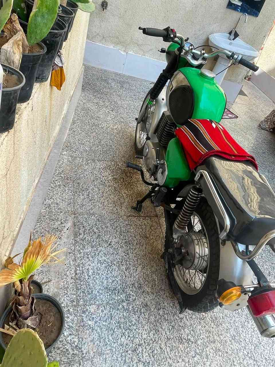 MZ امزت 81 رقم سنويه ماندل راعيهن ***********  مكان حي لحسين ب1200
