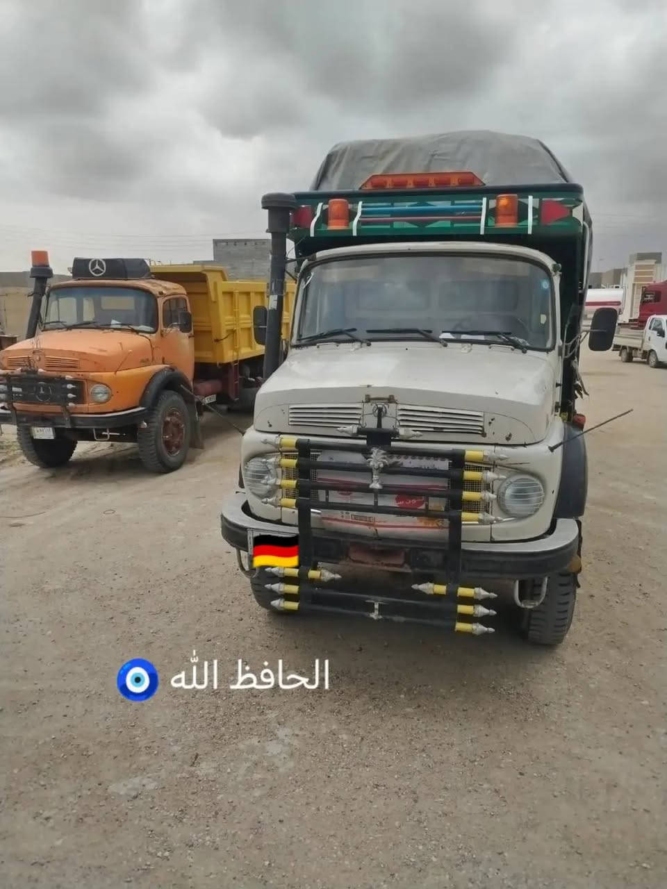 شاصي طويل • بدون صبغ • كفاله عامه