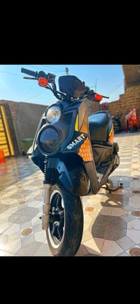 سكنس جبلي • فول • معدل